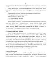 Kupiškio miesto plėtros analizė 12 puslapis