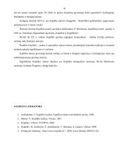 Kupiškio miesto plėtros analizė 16 puslapis