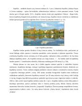 Kupiškio miesto plėtros analizė 3 puslapis