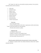 Įmonės verslo aplinkos įtaka formuojant įmonės strategiją UAB "Arginta" 19 puslapis