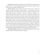 Įmonės verslo aplinkos įtaka formuojant įmonės strategiją UAB "Arginta" 3 puslapis