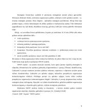Įmonės verslo aplinkos įtaka formuojant įmonės strategiją UAB "Arginta" 5 puslapis