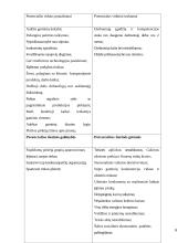 Įmonės verslo aplinkos įtaka formuojant įmonės strategiją UAB "Arginta" 6 puslapis