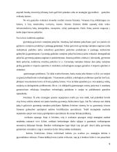 Įmonės verslo aplinkos įtaka formuojant įmonės strategiją UAB "Arginta" 9 puslapis