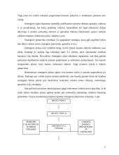 UAB "Arginta" pardavimų strategijos formavimas 11 puslapis