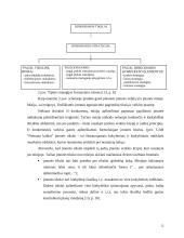 UAB "Arginta" pardavimų strategijos formavimas 12 puslapis