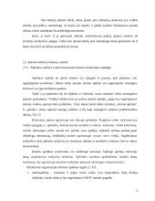 UAB "Arginta" pardavimų strategijos formavimas 13 puslapis