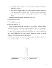 UAB "Arginta" pardavimų strategijos formavimas 14 puslapis