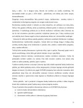 UAB "Arginta" pardavimų strategijos formavimas 19 puslapis