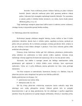 UAB "Arginta" pardavimų strategijos formavimas 10 puslapis