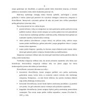 Marketingo strategija ir taktika organizuojant naujų automobilių pardavimą Lietuvoje 11 puslapis