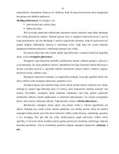 Marketingo strategija ir taktika organizuojant naujų automobilių pardavimą Lietuvoje 14 puslapis