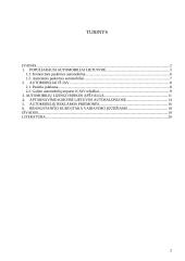 Automobilių rinka Lietuvoje 2 puslapis