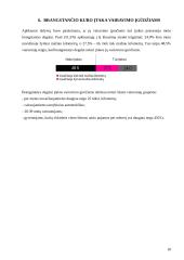 Automobilių rinka Lietuvoje 18 puslapis