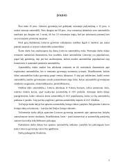 Automobilių rinka Lietuvoje 3 puslapis