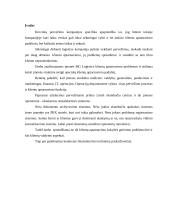 Įmonės N pardavimo programos sudarymas 2 puslapis