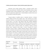 Įmonės N pardavimo programos sudarymas 11 puslapis