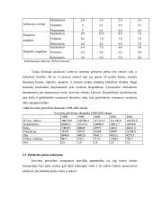 Įmonės N pardavimo programos sudarymas 12 puslapis