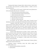 Įmonės N pardavimo programos sudarymas 13 puslapis