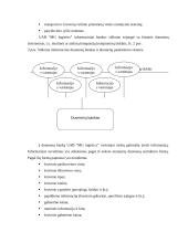 Įmonės N pardavimo programos sudarymas 14 puslapis