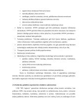 Įmonės N pardavimo programos sudarymas 16 puslapis