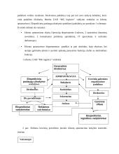 Įmonės N pardavimo programos sudarymas 17 puslapis