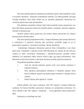 Įmonės N pardavimo programos sudarymas 19 puslapis