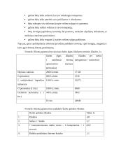 Įmonės N pardavimo programos sudarymas 20 puslapis