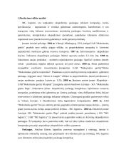 Įmonės N pardavimo programos sudarymas 3 puslapis