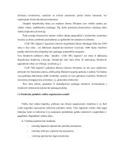 Įmonės N pardavimo programos sudarymas 5 puslapis