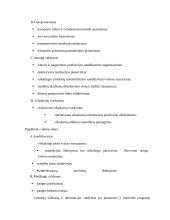 Įmonės N pardavimo programos sudarymas 6 puslapis