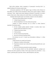 Įmonės N pardavimo programos sudarymas 10 puslapis