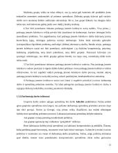 Paslaugos įmonės darbuotojų efektyvumo darbas 12 puslapis