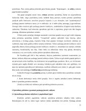 Paslaugos įmonės darbuotojų efektyvumo darbas 13 puslapis