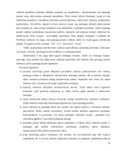 Paslaugos įmonės darbuotojų efektyvumo darbas 14 puslapis