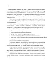 Marketingo strategijos planavimas organizuojant viešbučio veiklą Lietuvoje 2 puslapis