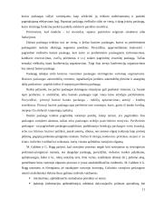 Marketingo strategijos planavimas organizuojant viešbučio veiklą Lietuvoje 11 puslapis