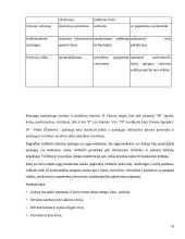 Marketingo strategijos planavimas organizuojant viešbučio veiklą Lietuvoje 16 puslapis