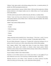 Marketingo strategijos planavimas organizuojant viešbučio veiklą Lietuvoje 18 puslapis