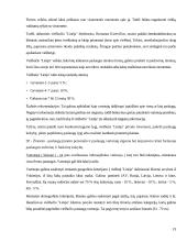 Marketingo strategijos planavimas organizuojant viešbučio veiklą Lietuvoje 19 puslapis