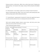 Marketingo strategijos planavimas organizuojant viešbučio veiklą Lietuvoje 20 puslapis