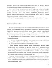 Viešbučio valdymo sprendimų priėmimo ypatumai 12 puslapis