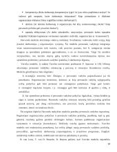 Viešbučio valdymo sprendimų priėmimo ypatumai 14 puslapis