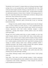 Marketingo strategija ir taktika organizuojant viešbučio “Linėja” paslaugų pardavimą 2 puslapis