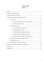 Marketingo strategijos parengimas UAB "Baliomanija" 2 puslapis