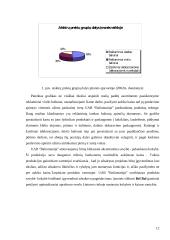 Marketingo strategijos parengimas UAB "Baliomanija" 12 puslapis