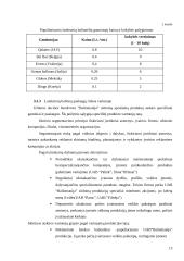 Marketingo strategijos parengimas UAB "Baliomanija" 13 puslapis