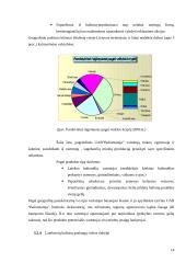 Marketingo strategijos parengimas UAB "Baliomanija" 14 puslapis