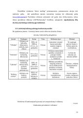 Marketingo strategijos parengimas UAB "Baliomanija" 16 puslapis