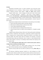 Marketingo strategijos parengimas UAB "Baliomanija" 3 puslapis